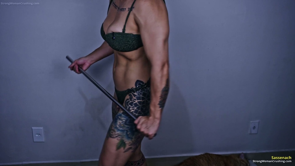 Preview image 5 of 10