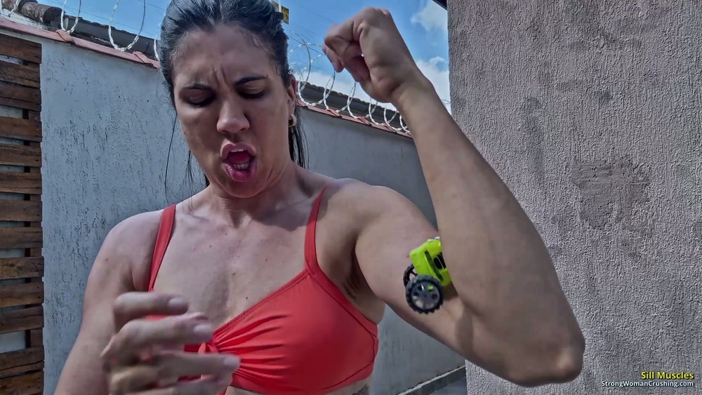 Preview image 4 of 10