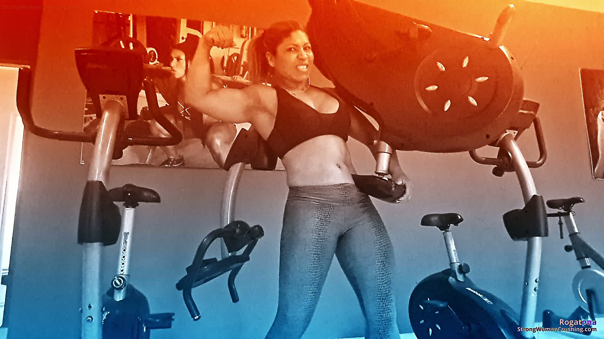 Rogatona lift heavy gym equipment