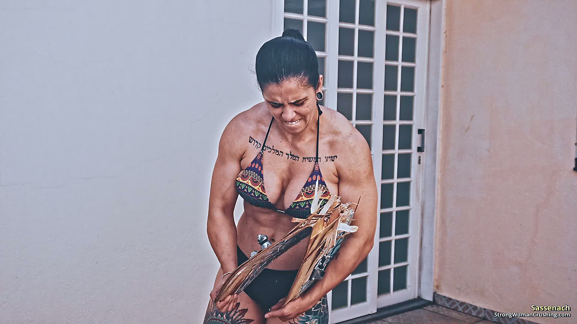 Sassenach destroys a skateboard